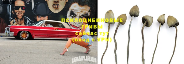 амфетамин Новокубанск