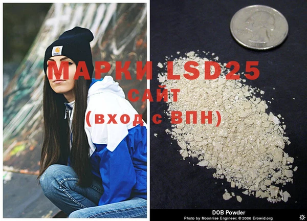 MDMA Новозыбков