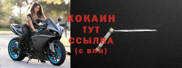 MDMA Новозыбков