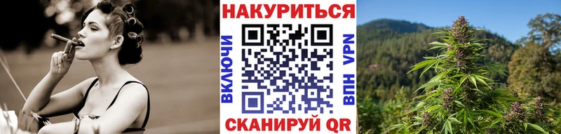 Канабис White Widow  Купить где  Кирс 